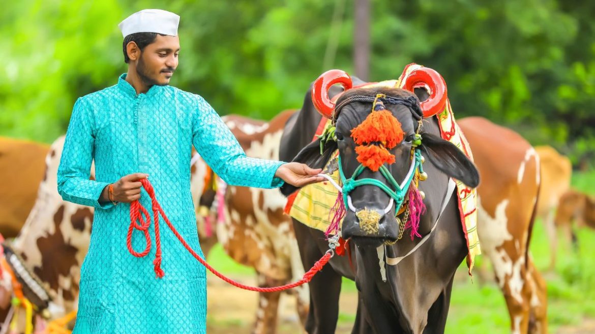 Bail Pola maharashtrian festival image